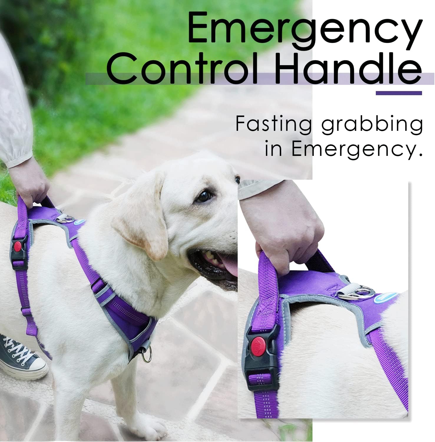 thinkpet no pull harness