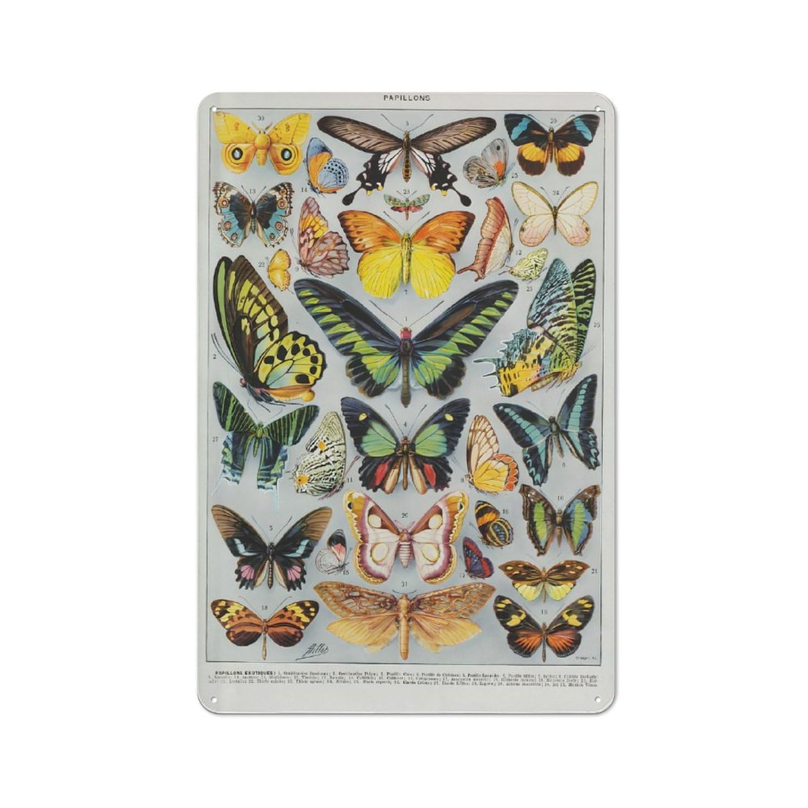 Junmoney Style-15 For Hallway Wall, Papillons Vintage-Inspired Metal Sign 30X20cm, A Moving-Home Gift For Collectors Of Tin Signs