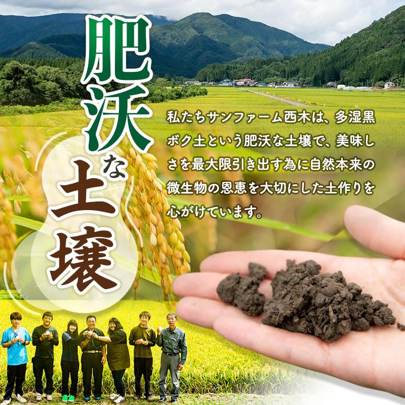 Amazon.co.jp: あきたこまち 20kg 玄米 《定期便4ヶ月》 秋田県産 匠 5