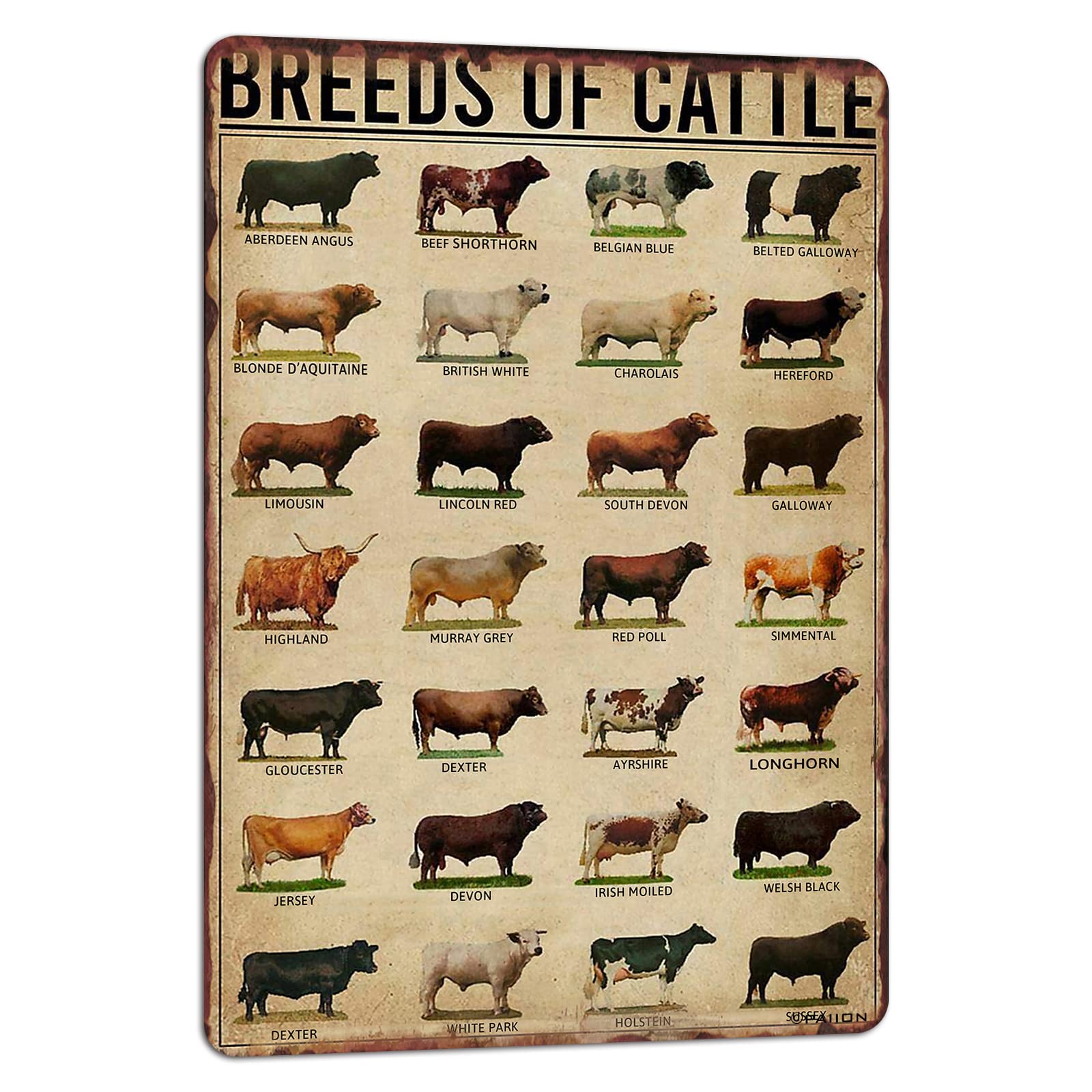 PAIION Breeds of Cattle Poster Retro Poster for Street Garage Family Restaurant Cafe Bar People Cave Farm Wall Decoration Crafts Metal Tin Sign 8x12 Inch