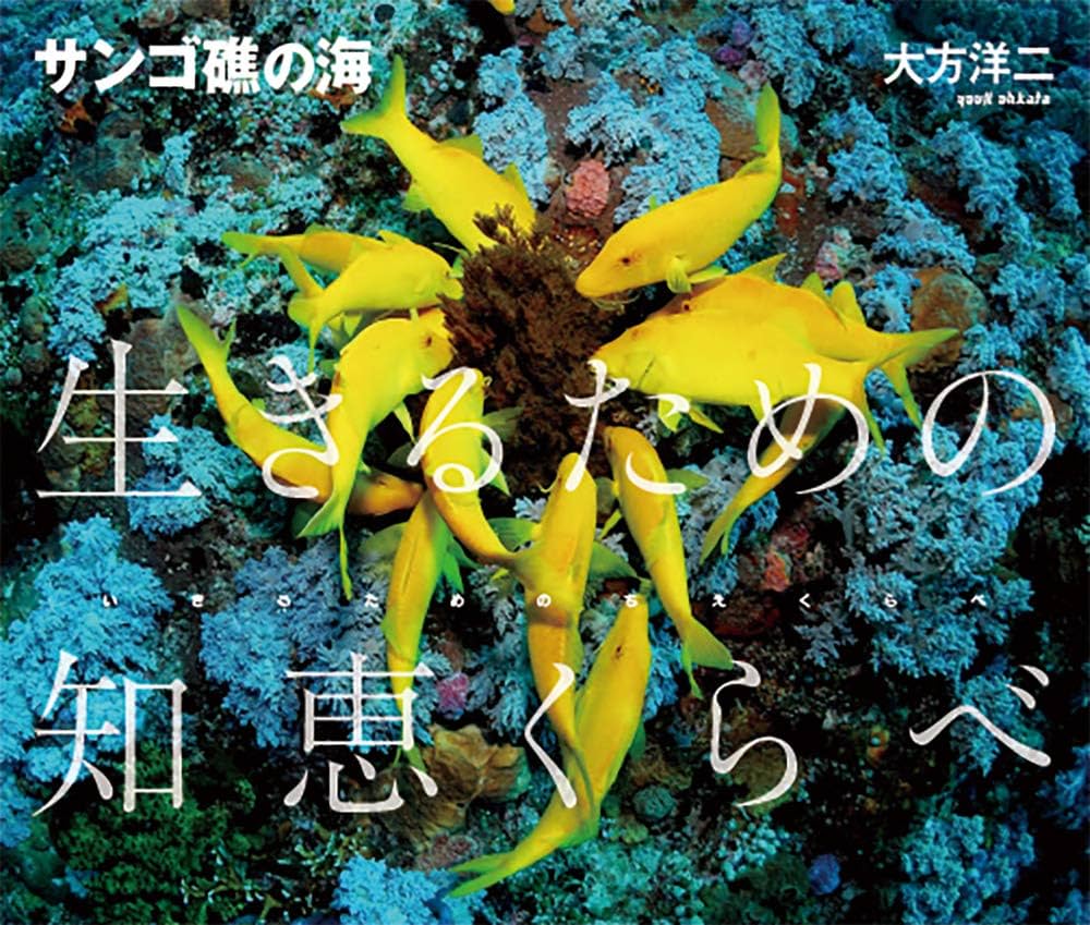 Amazon.com: サンゴ礁の海 生きるための知恵くらべ