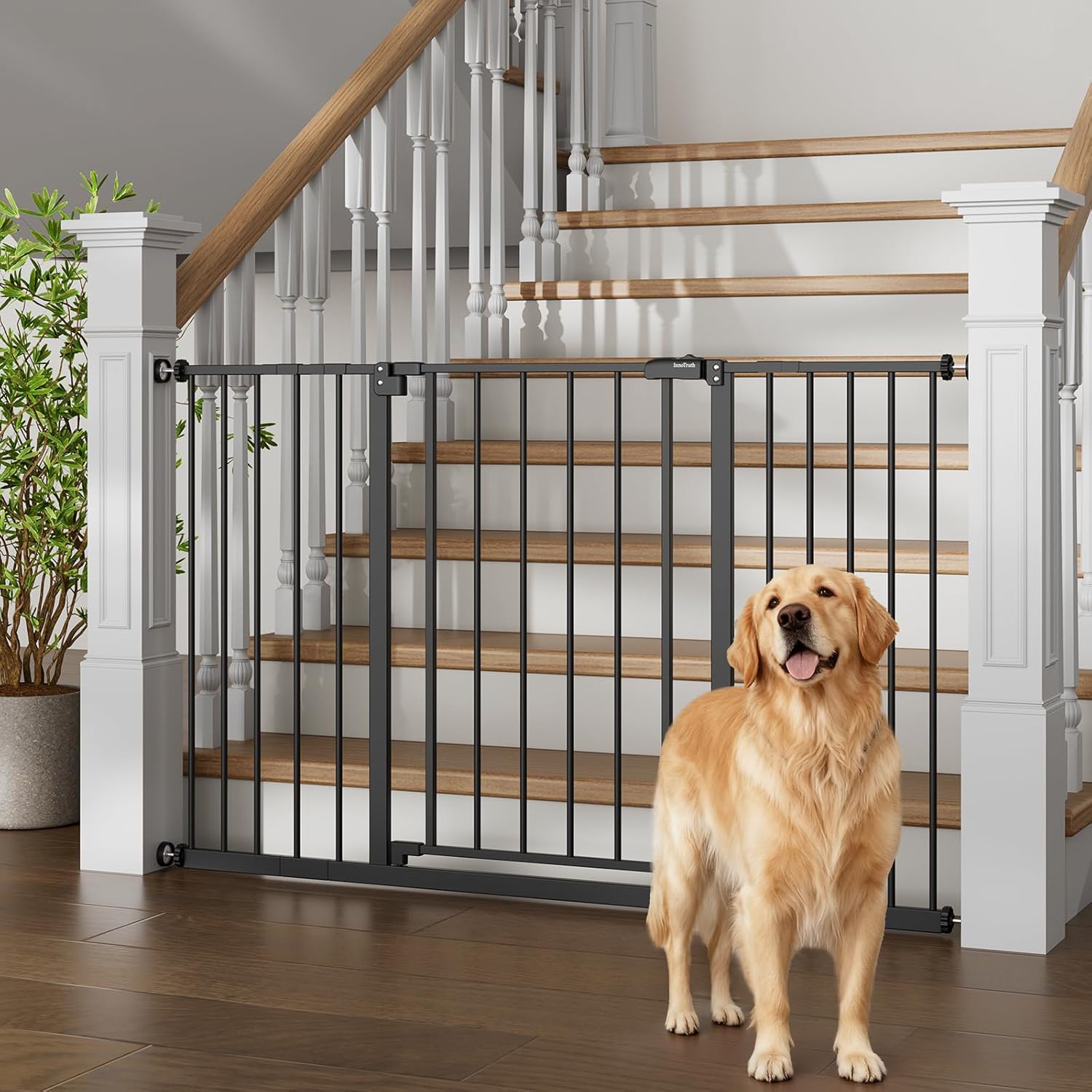 (Similar)InnoTruth 29.5–49.75\" Extra Wide Baby Gate for Stairs, 30\" Tall Walk Through Dog Gate for Stairs & Doorways, Pressure-Mounted Safety Gate for Pets & Kids, Dual Lock & 2-Way Swing, Black Black 29.5-49.75\" W x 30\" H