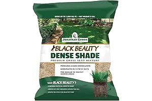 Jonathan Green Black Beauty Dense Shade Grass Seed for Thriving Lawns in Shady Areas