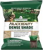 Jonathan Green (10600) Black Beauty Dense Shade Grass Seed - Cool Season Lawn Seed (3 lb)