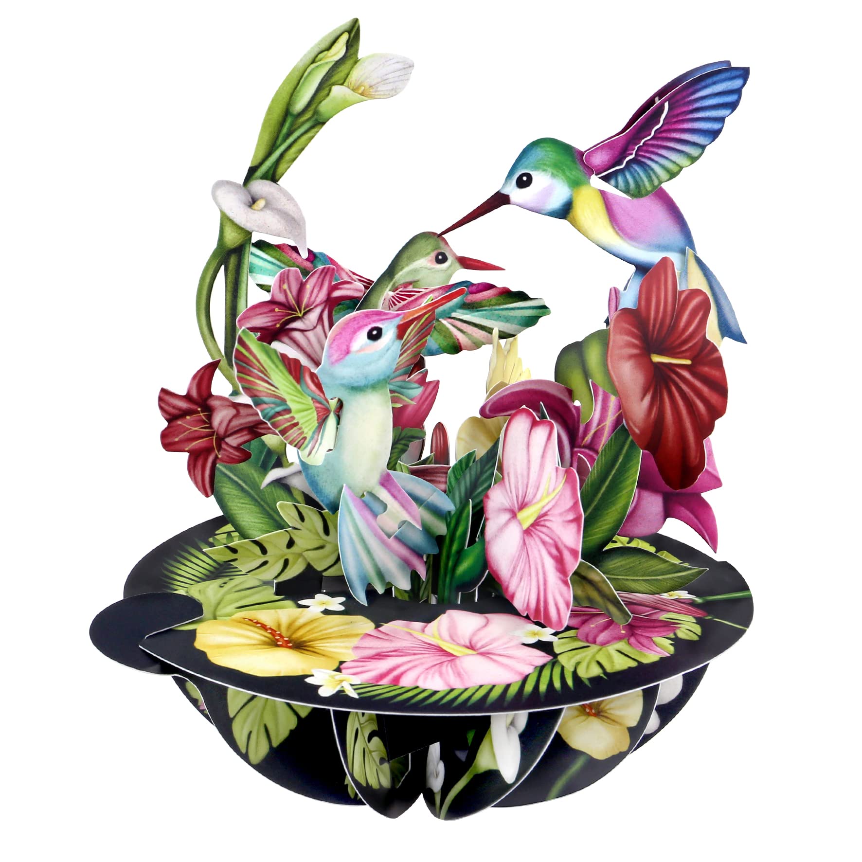 SANTOROPirouette, 3D Pop Up Greeting Card - Hummingbirds - For Her, Mom, Wife, Sister, Daughter, Birthday, Bird Lovers | Thank You Cards For Teacher | Get Well Soon Card