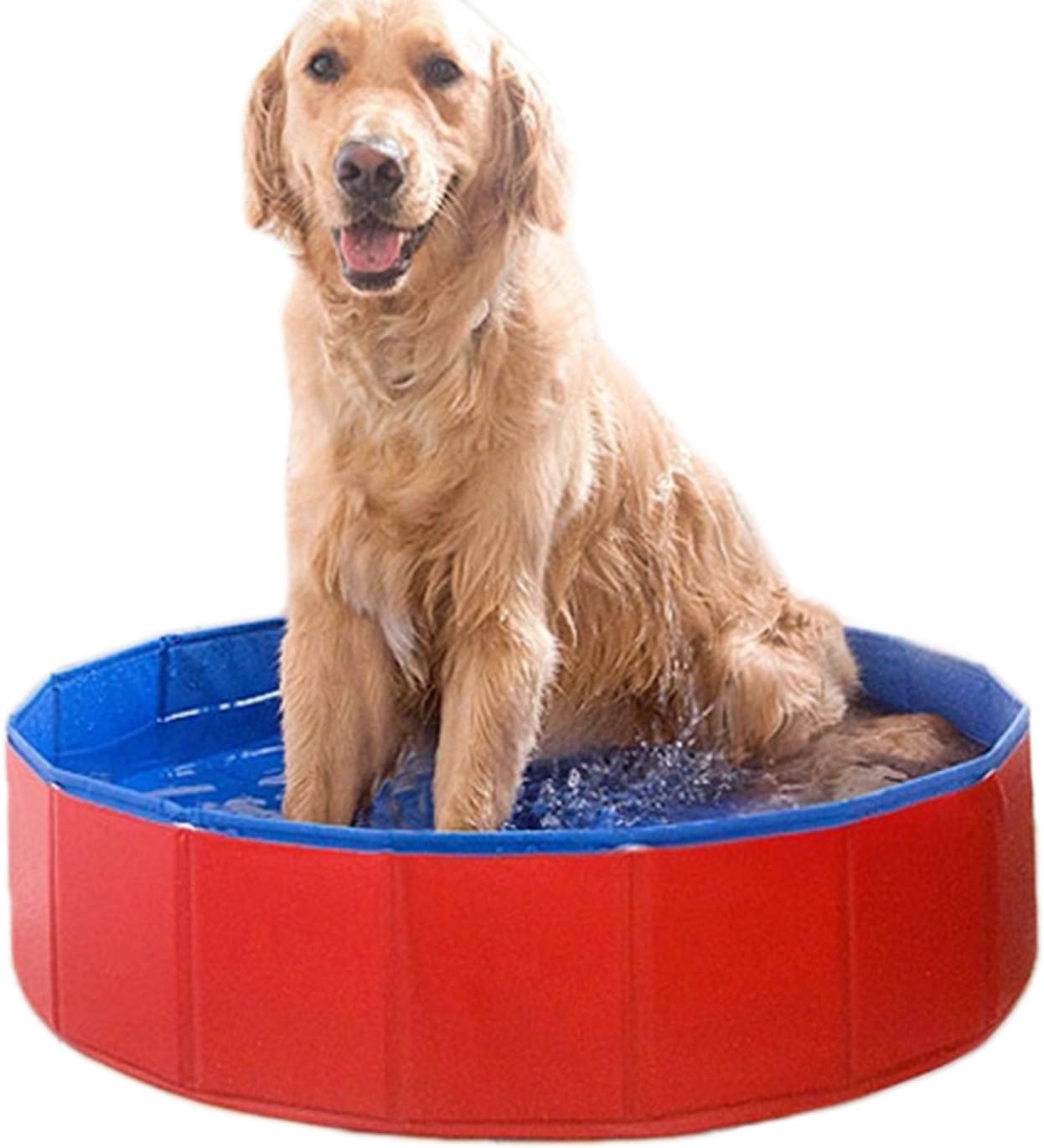Alfie Pet - Quain Foldable PVC Pet Swimming Pool Bath Tub