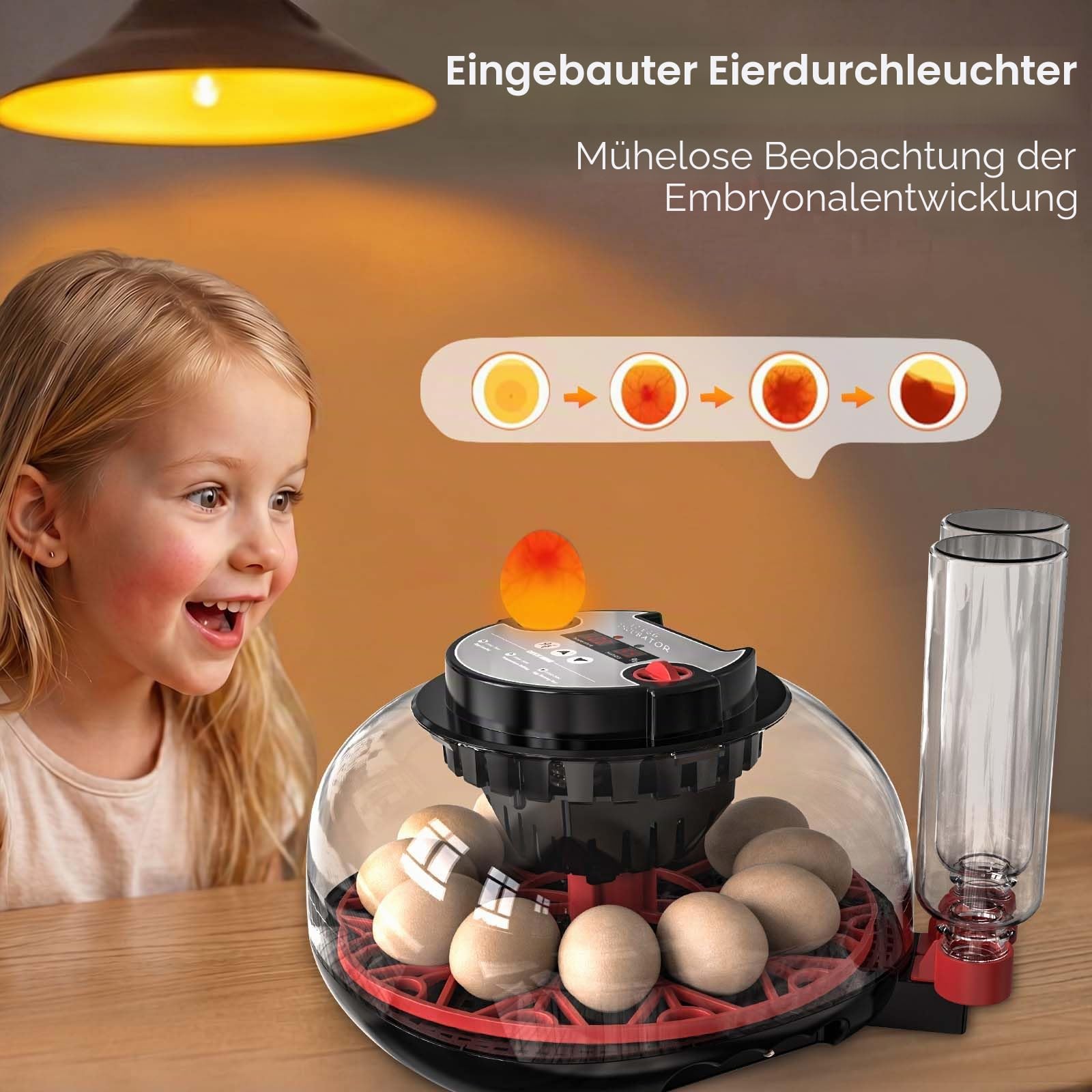Brutautomat Vollautomatisch, Inkubator Hühner 12 Eier mit Automatische Wasserversorgung & Automatischer Eierwender, Temperatur Feuchtigkeitskontrolle, Eierdurchleuchter für Hühner, Enten & Wachteleier