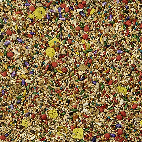 Kaytee Fiesta Parakeet Food 2 lb - Image 5