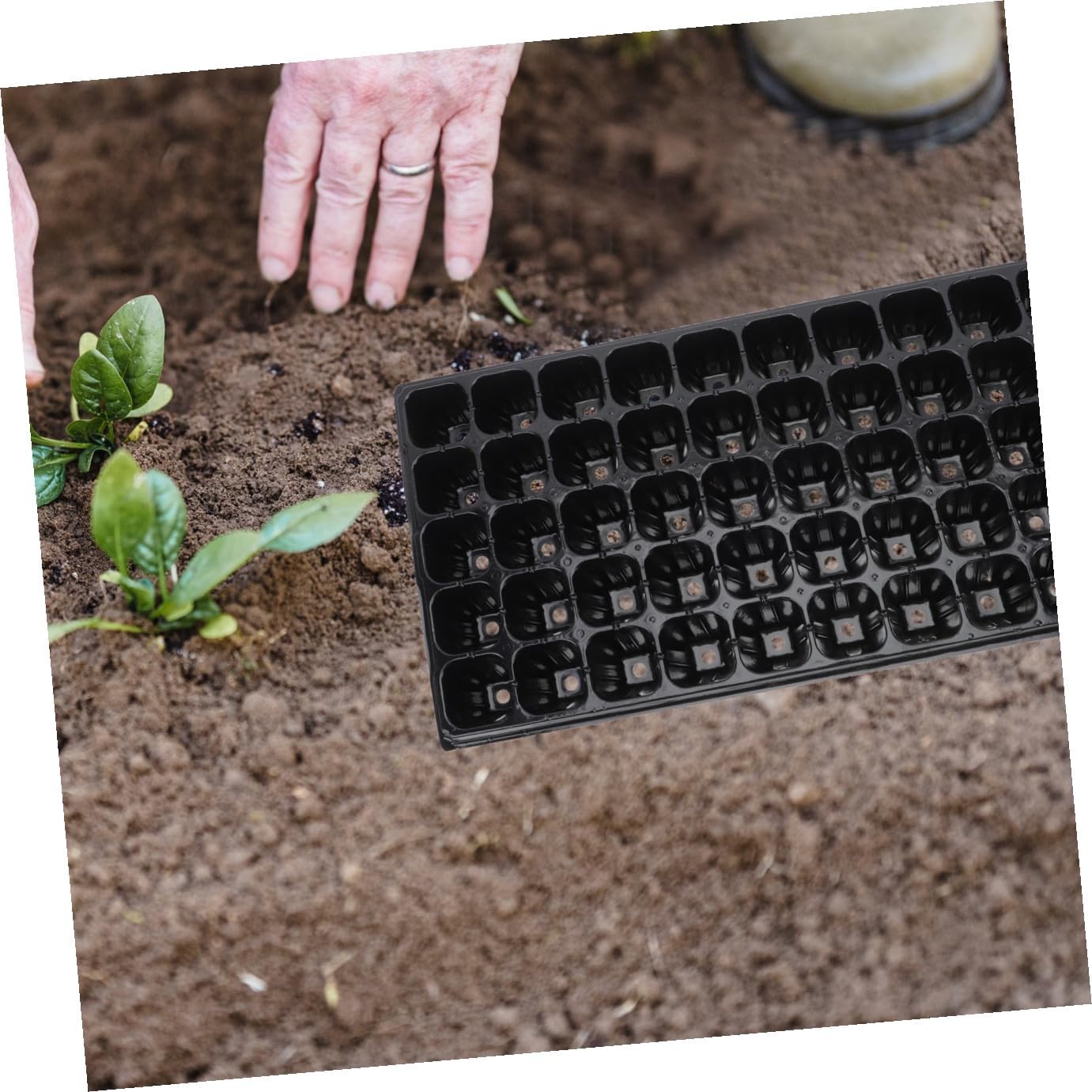 ARTIBETTER 10pcs Thickened Germination Trays Seed Starter Plant Nursery Trays for Vegetable Seedlings Garden Planting Supplies