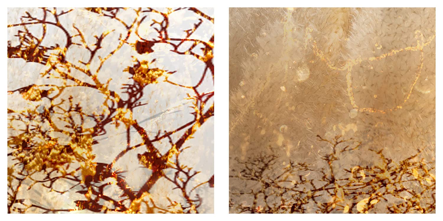 murando Cuadro Acústico Abstracto 120x80 cm espuma acústica absorbe | sonido aislamiento lienzo de 1 pieza Impresión Artística Decoración de Pared Árbol Naturaleza como pintado