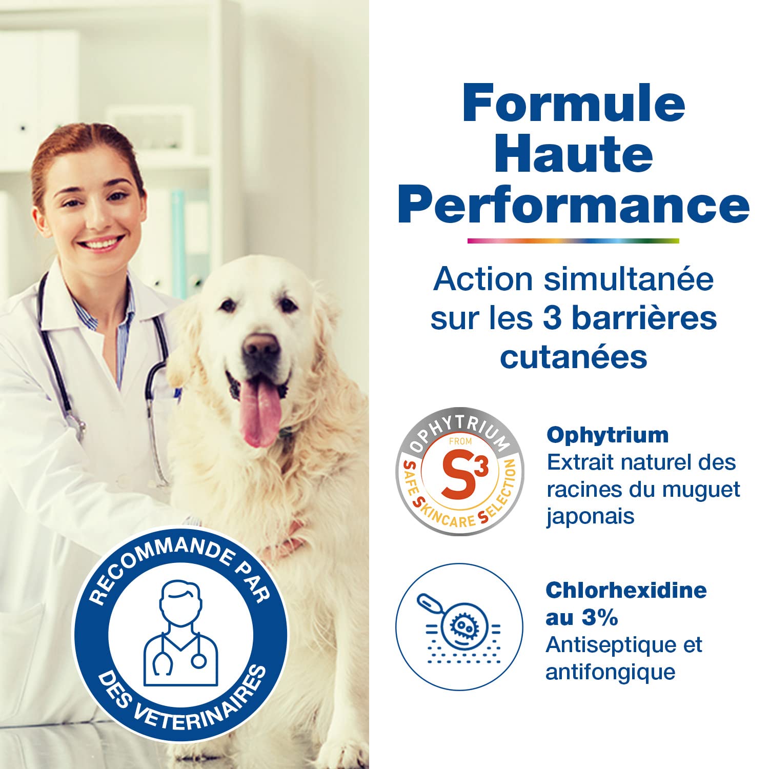 Douxo S3 PYO Shampooing nettoyant, désinfectant et apaisant pour Chiens et Chats avec des irritations, des Boutons ou des croûtes, 500ml