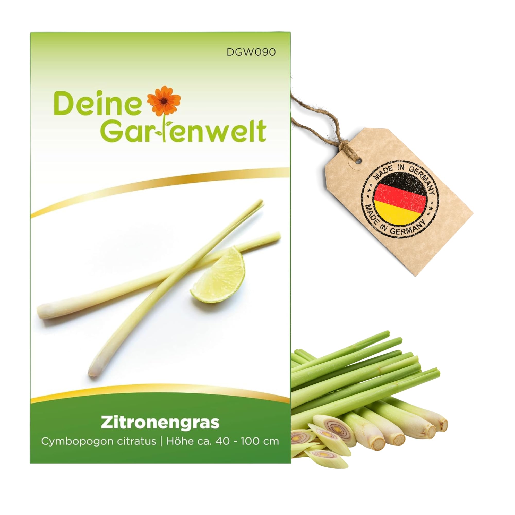 Zitronengras Samen - Cymbopogon citratus - Zitronengrassamen - Kräutersamen - Saatgut für 100 Pflanzen