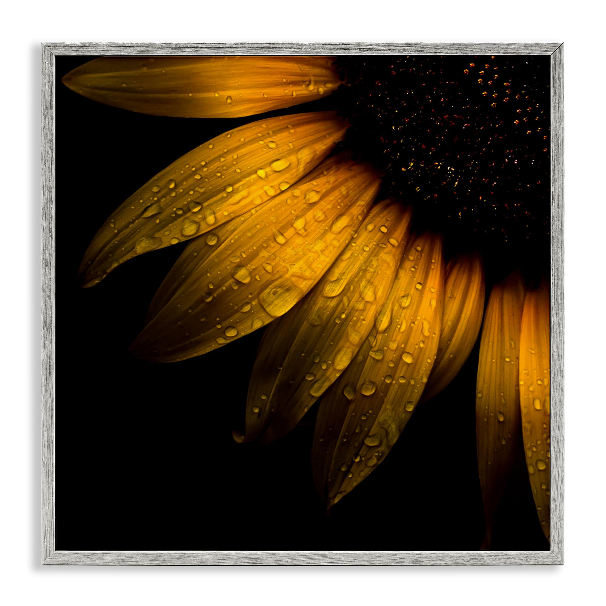 Cadre Giclée tournesol Stupell 30x30 cm pour illuminer un mur sombre