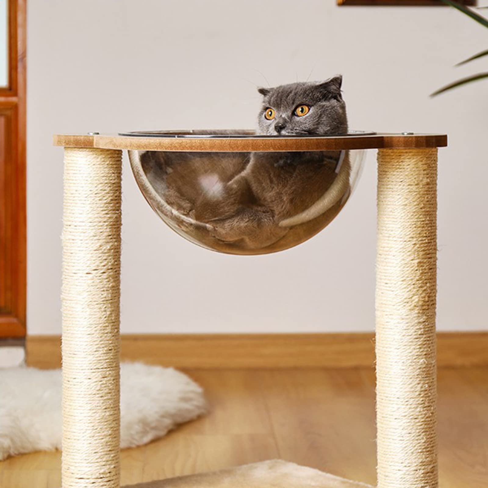 Couchette de réchange pour Arbre à Chats, Demi-sphère en Acrylique avec Bord pour Bricolage Transparent 300 mm Diameter, Hamac Montage Facile, 2pcs