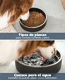 Ver la foto 3