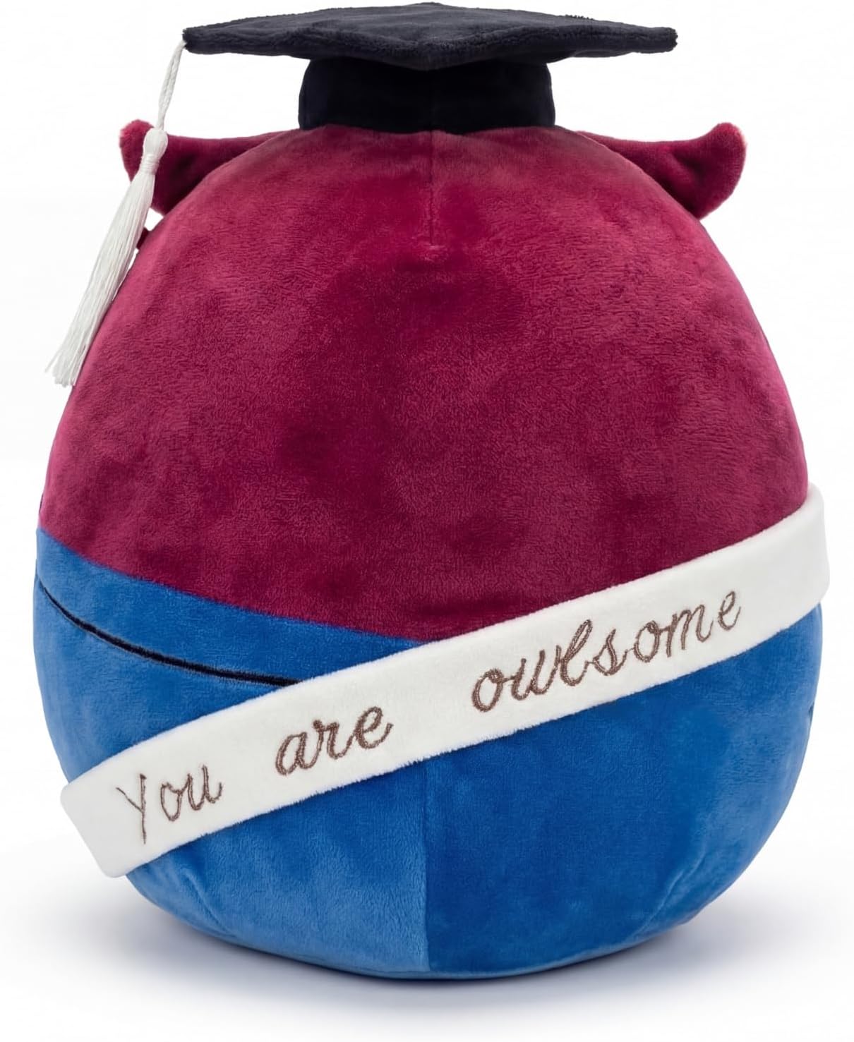 2026 Graduation Owl Plush Gift | You are Owl-Some Motivational Stuffed Animal with Cap & Gown Decorations 11“