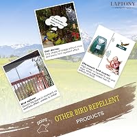 Laptony Madárriasztó Sárkány Kerti Farmvédelem Ragadozó Madár Elriasztó 9