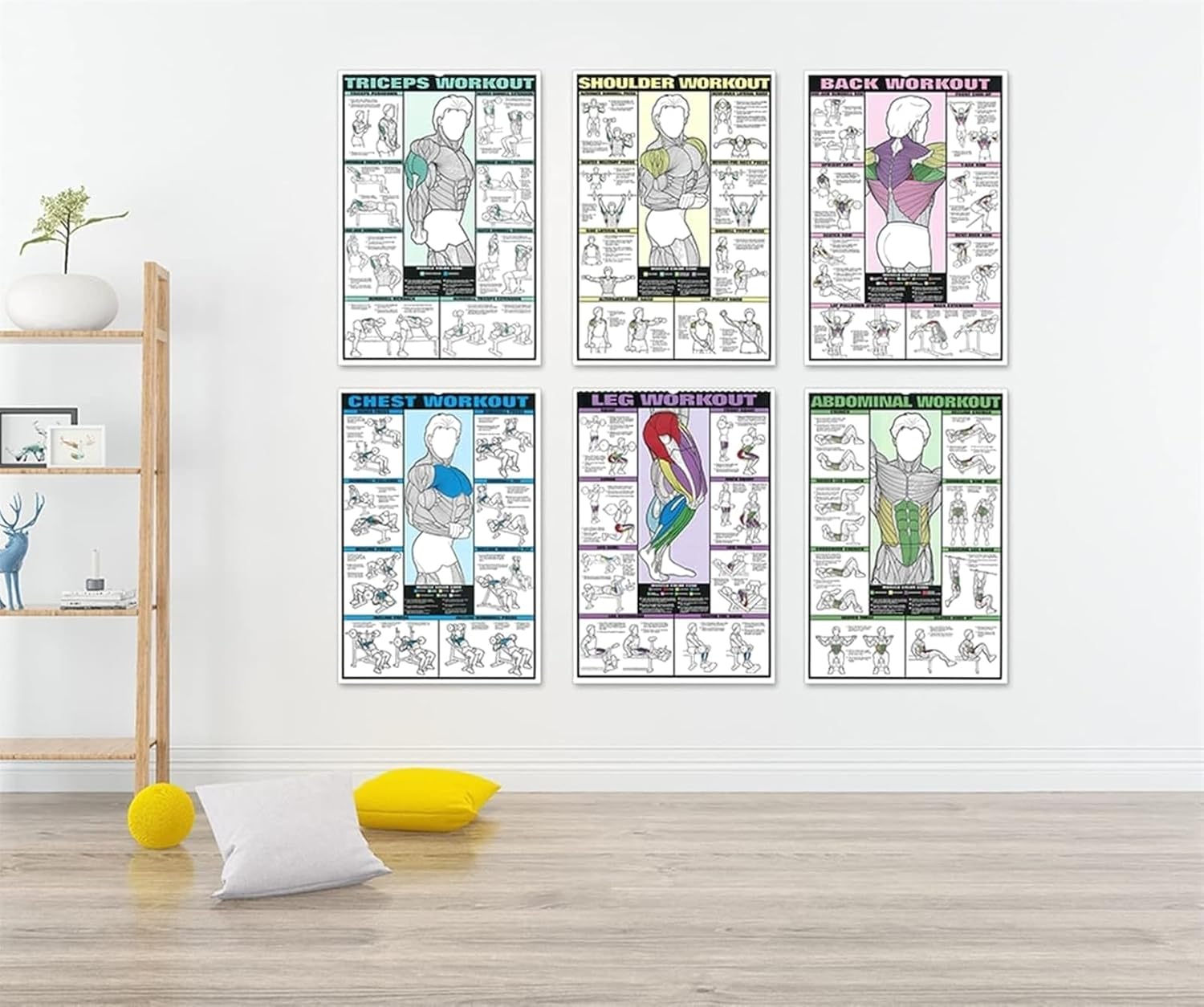 Full-Body Workout Posters Set: 6PCS Charts for Triceps, Shoulder, Leg, Back, Chest, Abs