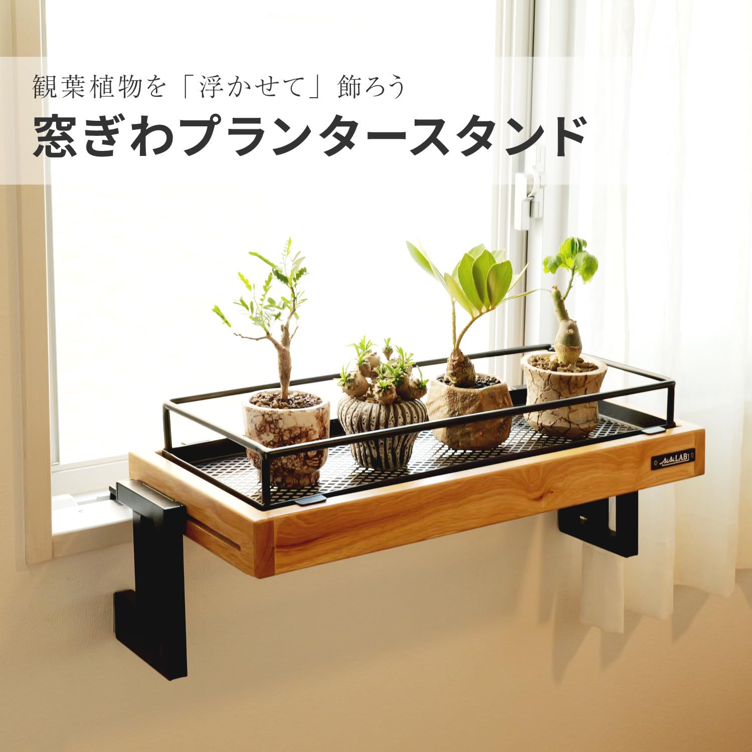 Amazon.co.jp: BIBILAB(ビビラボ) 窓ぎわプランタースタンド 窓サッシ
