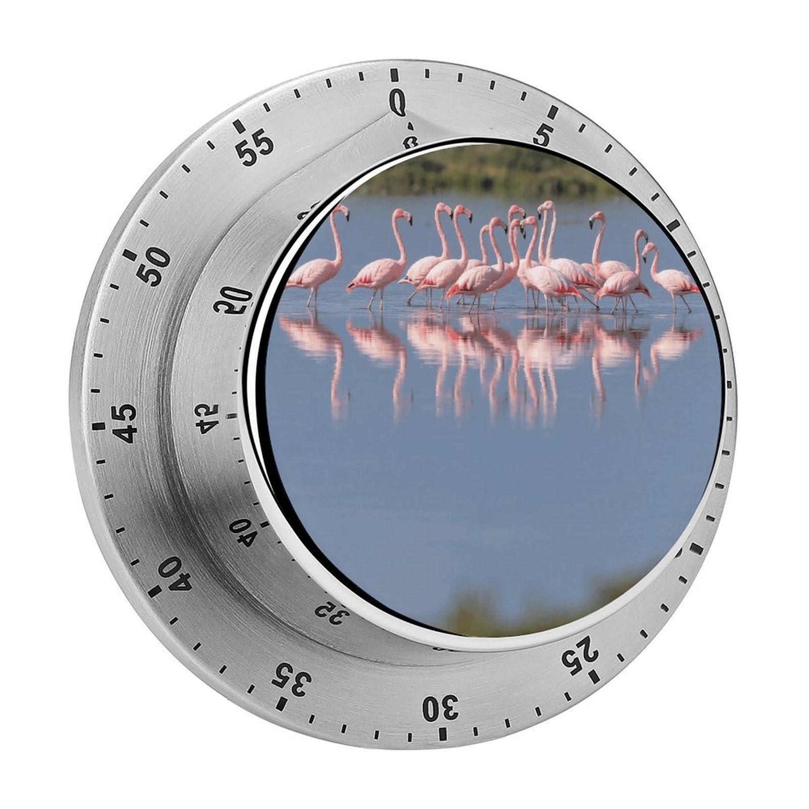 A Flock of Flamingos Timer Digital Stainless Steel Kitchen Timers with Loud Alarm Visual Timers Magnetic Countdown Countup Timer for Homework Chores Office Time Management