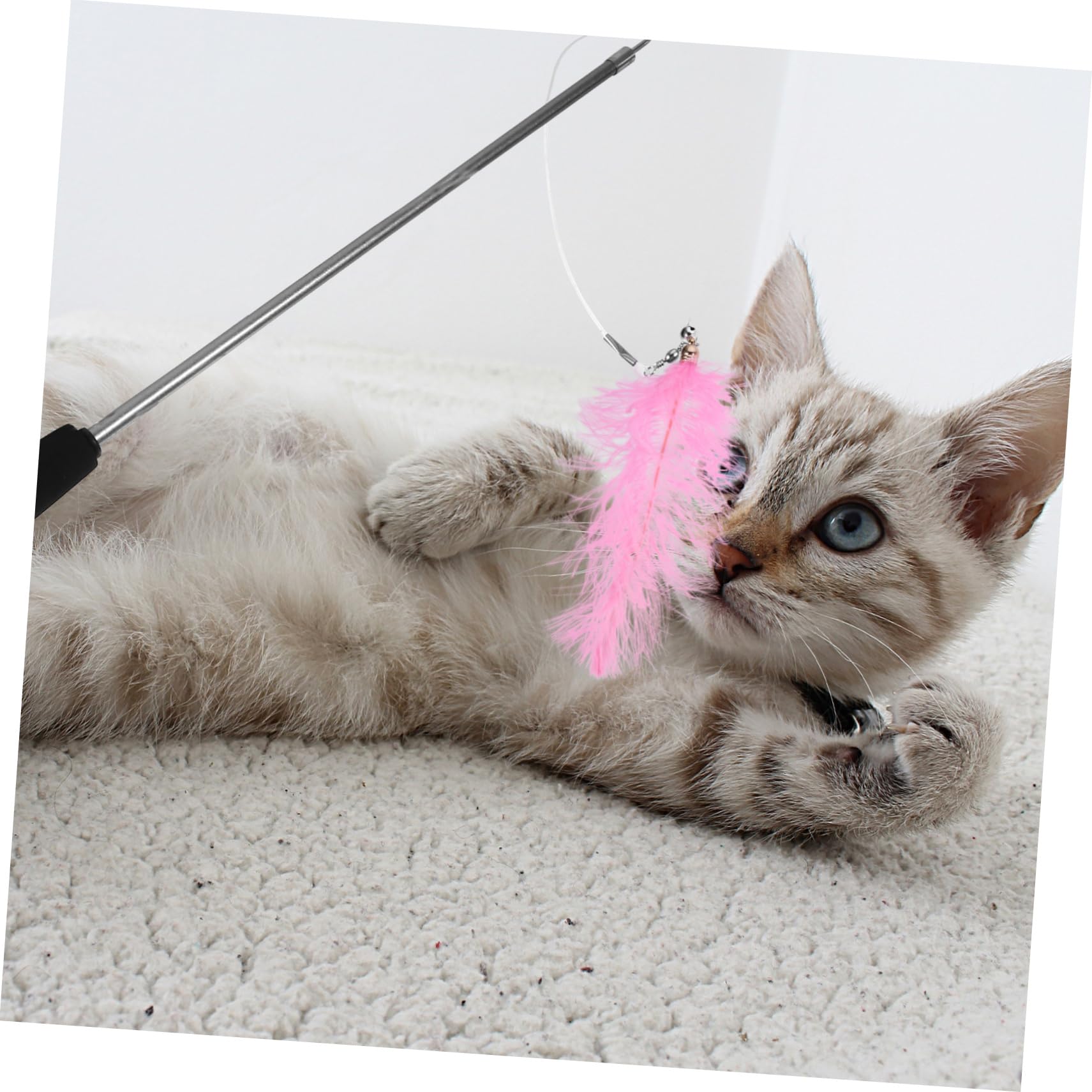 Yardwe 3stücke Pet Cat Toy Angelrute Mit Austauschbaren Köpfen Interaktives Katzenspielzeug Für Katzen Kätzchen Und Senioren Fördert Gesundheit Und Bewegung Teiliges
