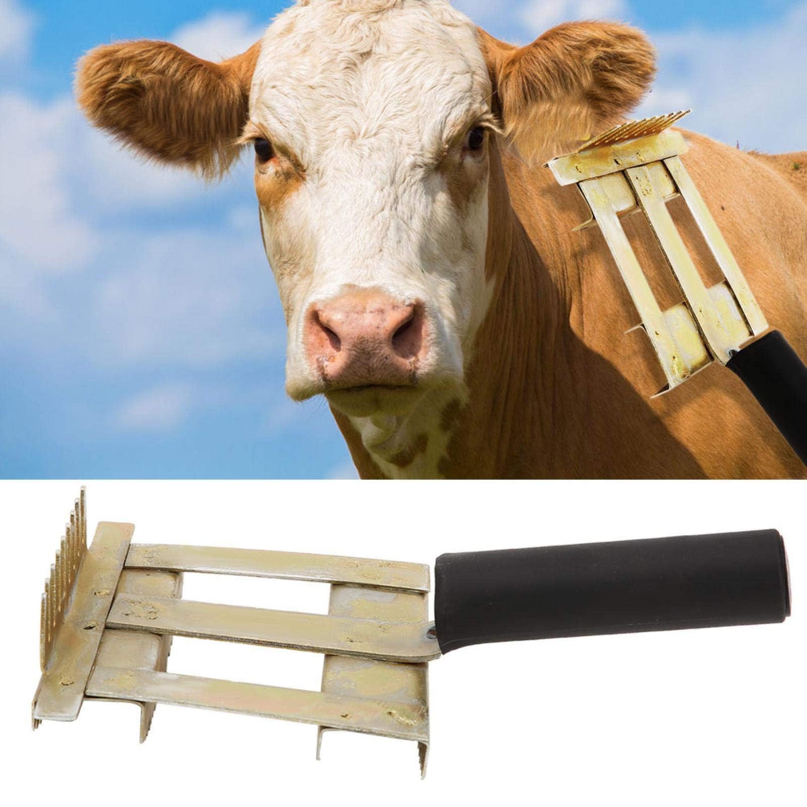 Agatige Etrille Cheval, Peigne de Rejet de Bétail, Brosse à Poils de Taureau de Vache de Bétail Brosse à Dents de Râteau de sous-Poil en Métal 2 Côtés pour Chevaux de Vache Chèvre Gros Chiens