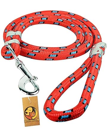 Dog leash online india Outlet