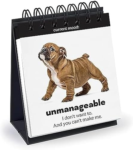 Diario DOGGO, Rotafolio de escritorio