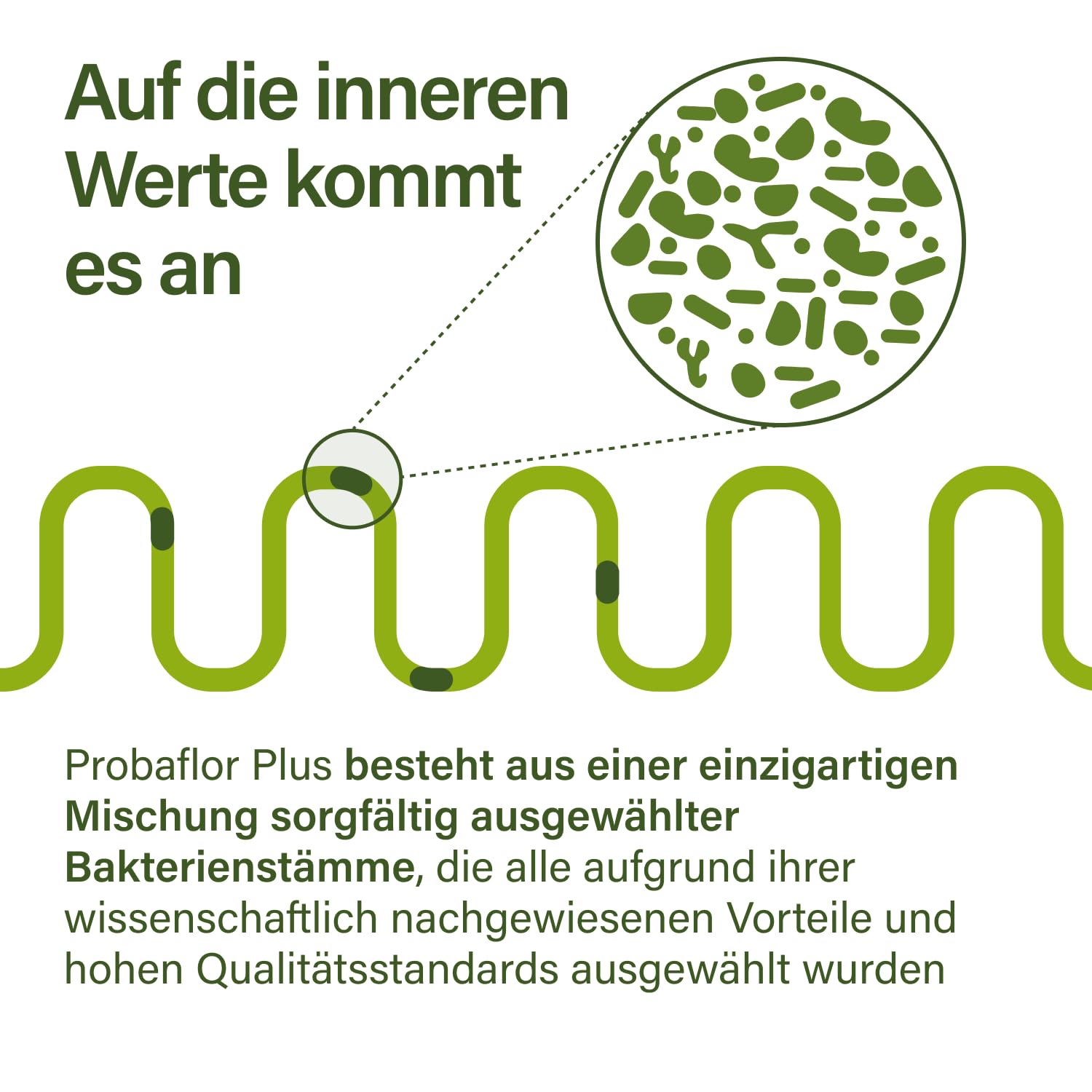 Nupure® Probaflor Plus 400 Milliarden KBE/g*, 60 Kapseln, Hochdosiert, 20 Stämme Milchsäurebakterien und Bifidobakterien, Plus Inulin, Magensaftresistente Kapselhülle