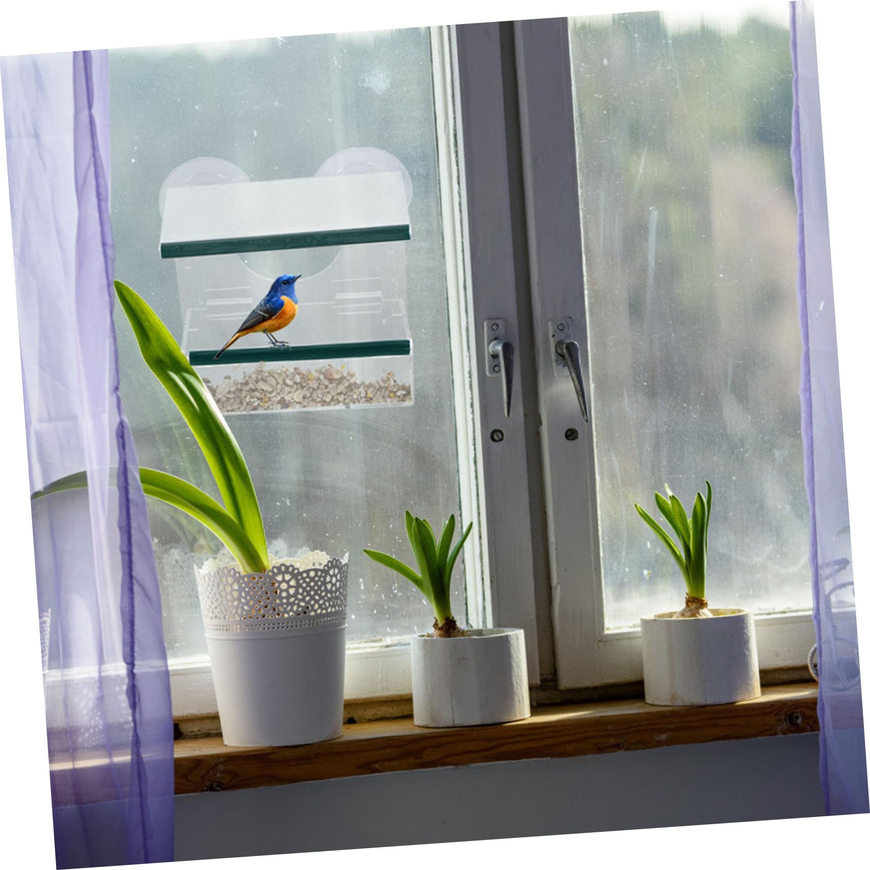 Alimentador de Pájaros Colgante Transparente con Ventosa Estación de Alimentación Resistente para Exteriores Comedero Desmontable para Pequeños Pájaros para Ventanas y Jardín