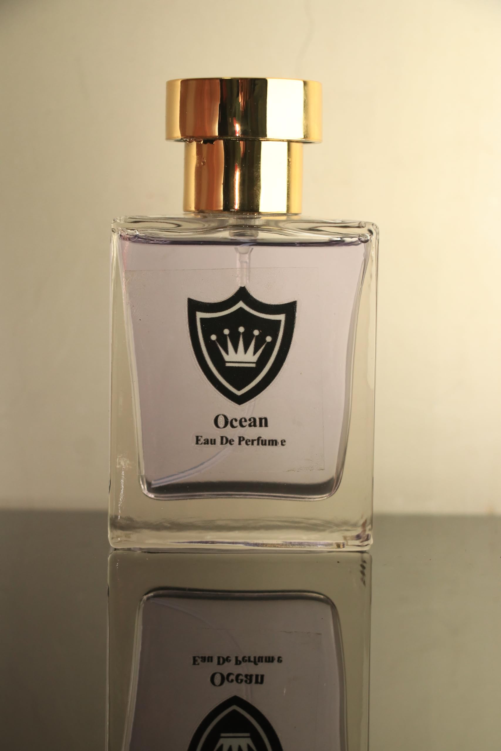 CARADIN Ocean Perfume for Men | Premium Luxury Long lasting Fragrance Spray | Eau De Perfume 50 ml