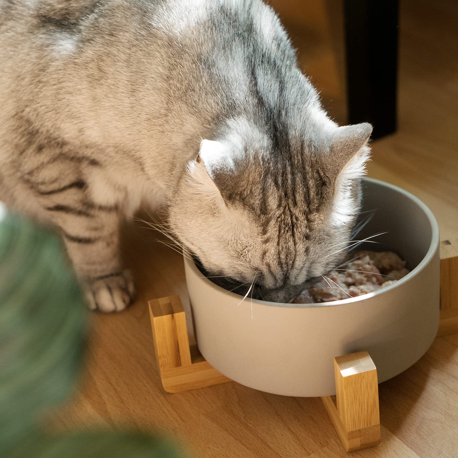 Set 2 Ciotole Rialzate Per Cani E Gatti Navaris | In Ceramica E Bambù | Design Scandinavo Grigio - Foto 9