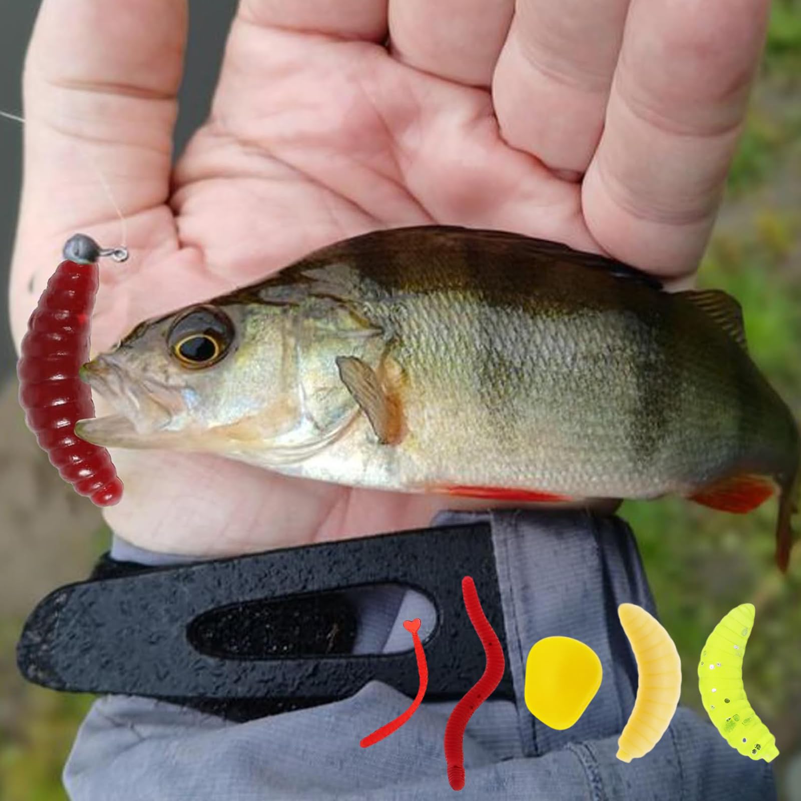 TenaLucy 2 Stck Angelzubehr, Angeln Baitcast Combo, Hecht Kder  Lieblingskder, Weichplastik Aal Lockstoff fr Das Salz und Swasserangeln  Einschlielich Karpfen Karauschen Graskarpfen : Amazon.de: Sport & Freizeit
