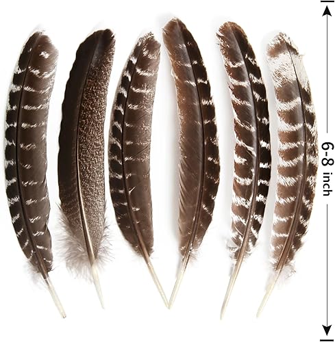 Miniatura 10 de THARAHT 24 plumas de cola de faisán femeninas con cuello de anillo, plumas naturales de 6 a 8 pulgadas, 15 a 7.9in para manualidades, hogar, boda,