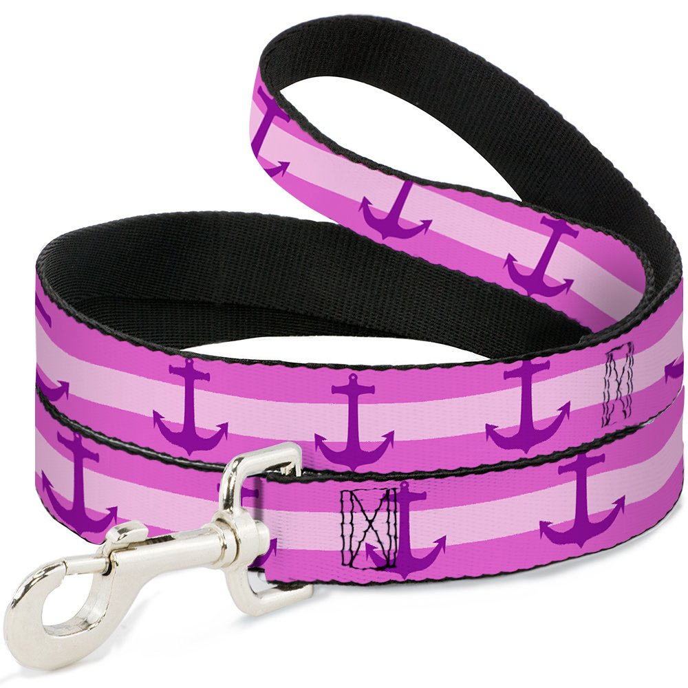 Laisse pour chien qui tire Buckle Down 6 pieds violette et rose anti-nœuds en nylon
