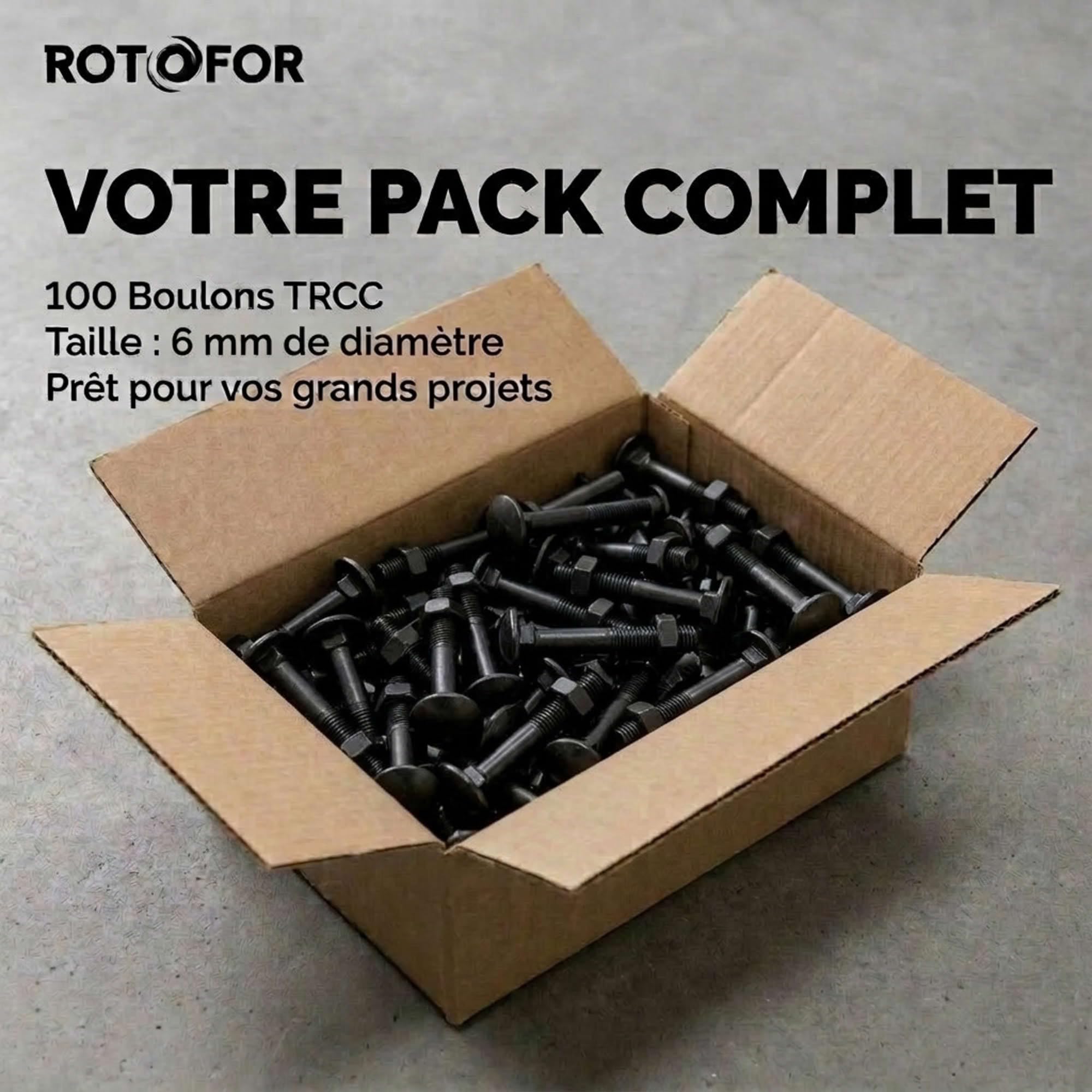 100 Boulons tête ronde collet carré DIN603/555 acier zingués Noir - diamètre 6,0 mm - Longueur 80 mm - Diamètre 6 mm