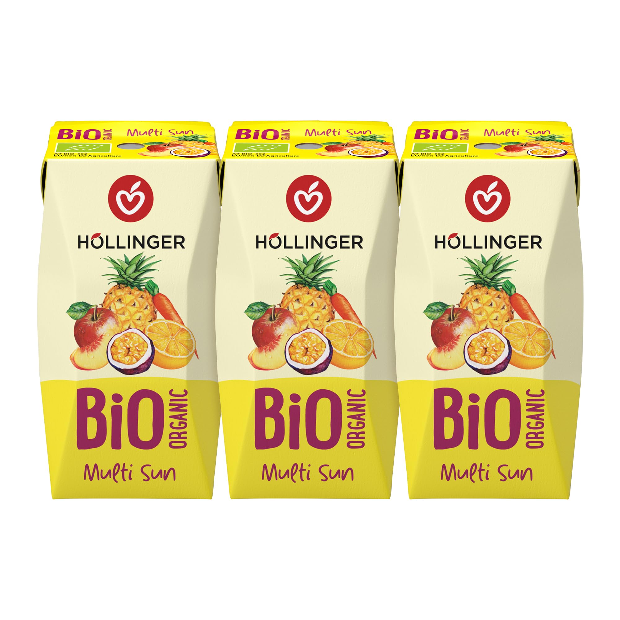 Höllinger Bio Multi Sunrise Lot de 24 boîtes de 200 ml