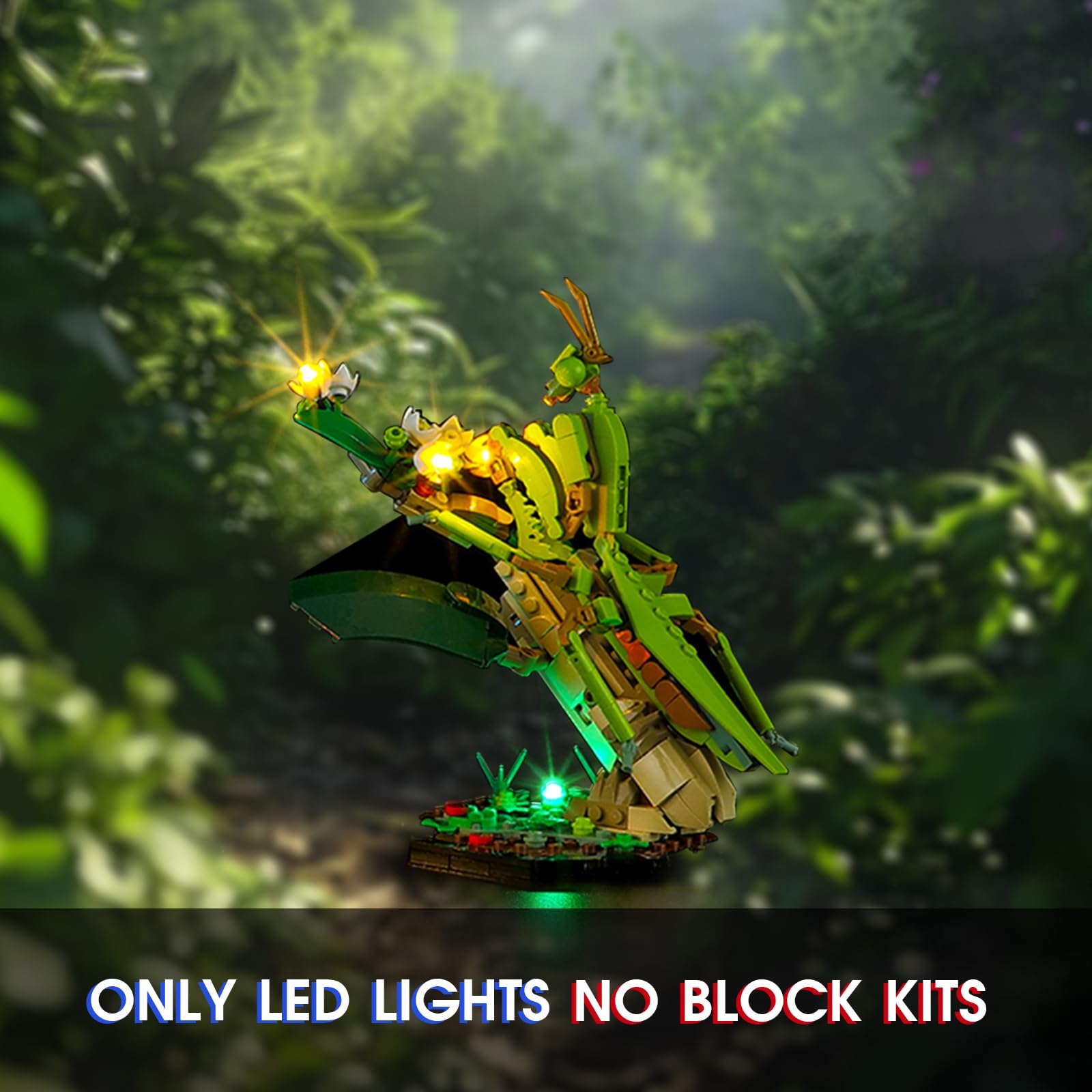 Vaodest LED Light for Lego 21342 The Insect Collection,Design and Configuration Compatible with Model 21342 (LED Light Only, Not Building Block Kit)