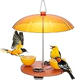 Kingsyard Oriole Bird Feeders for Outdoors Hanging, Double-Cup Jelly Platform Bird Feeder with Pegs for Orange Halves, Weather Protective Dome, Great for Attracting Orioles