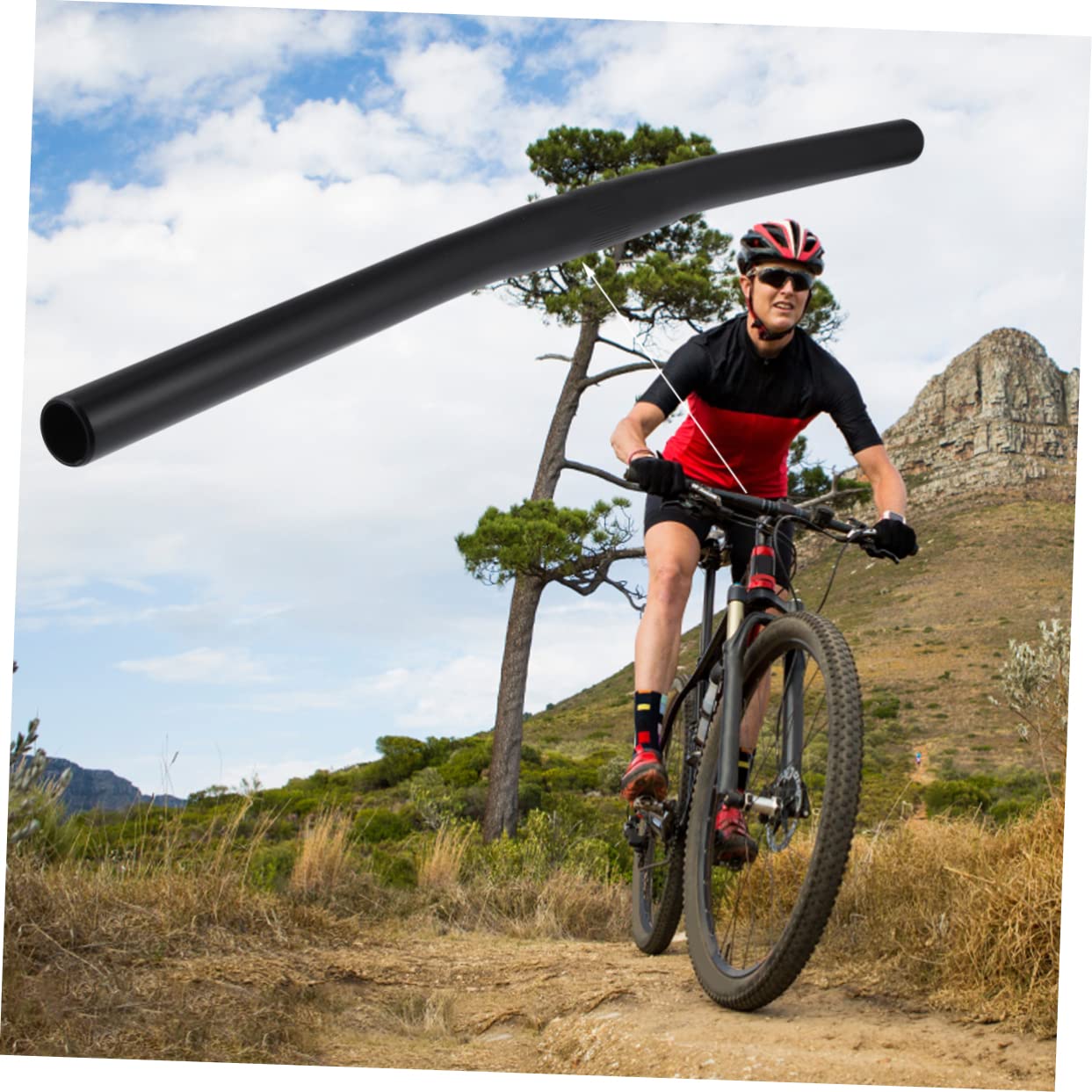 foxter lincoln 29er