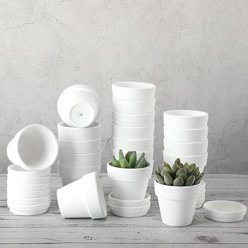 Miniatura 5 de Lallisa 36 macetas pequeñas de terracota de 3 pulgadas con platillos y agujero de drenaje, cerámica blanca pintable, pequeñas macetas de arcilla