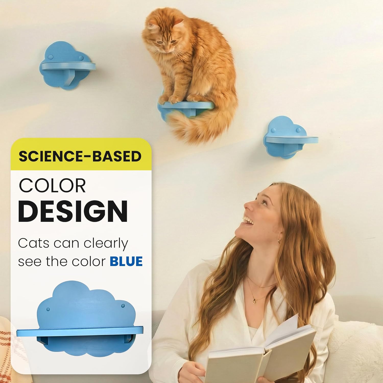 Cat Wall Shelves & Furniture – Sturdy Wall Mounted Cat Furniture, Floating Cat Shelves, Cat Wall Steps & Perches for Indoor Cats (Cloud Blue)