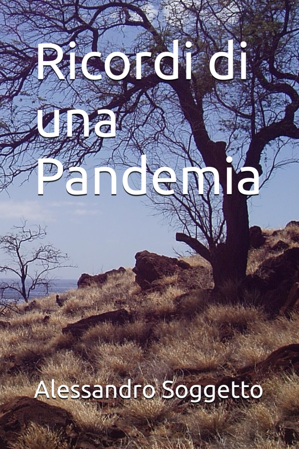 Ricordi di una Pandemia