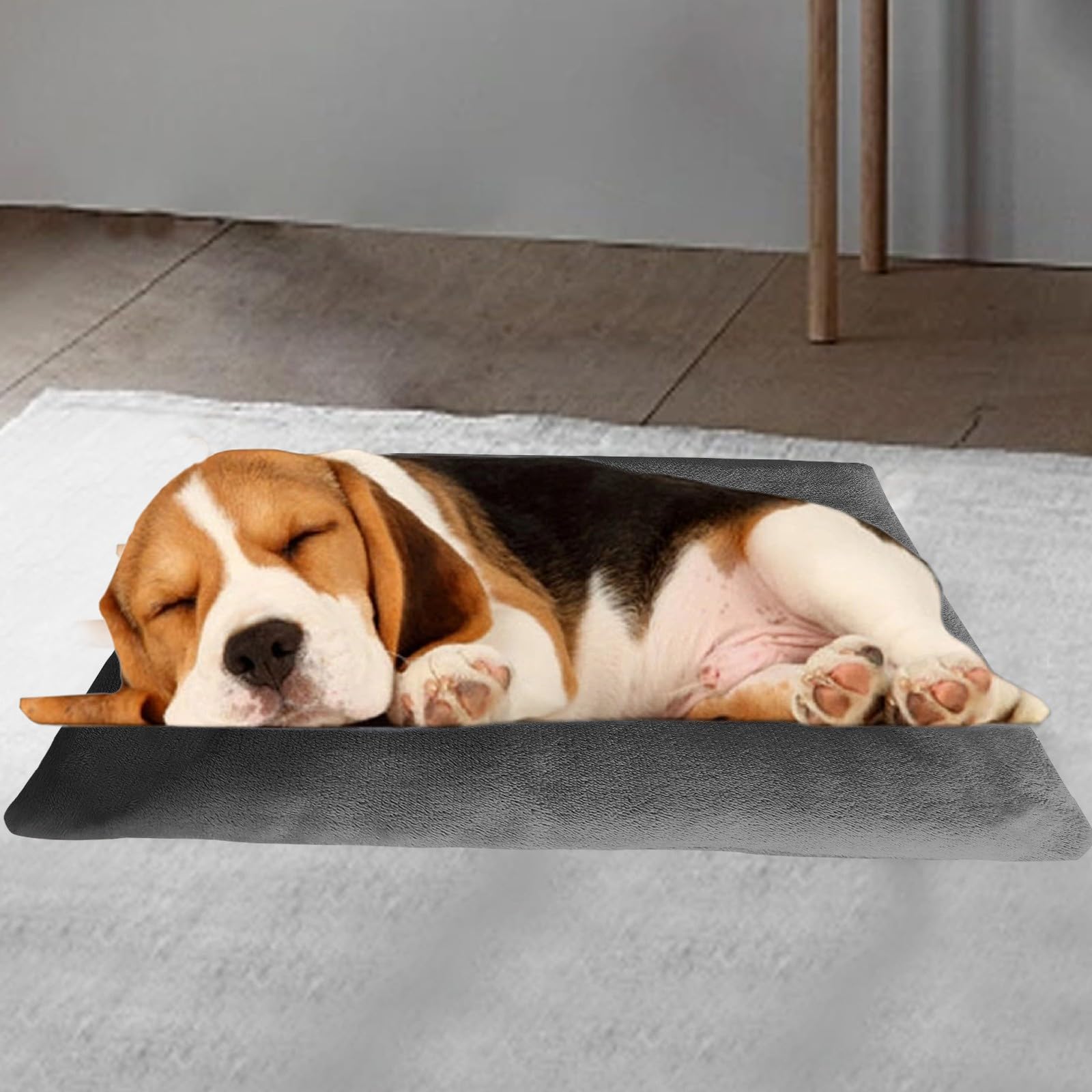 Soft Dog Bed Crate Foam Dog Bed Machine Washable Rectangle Breathable Padding with Nonskid Bottom Pet Sofa Bed