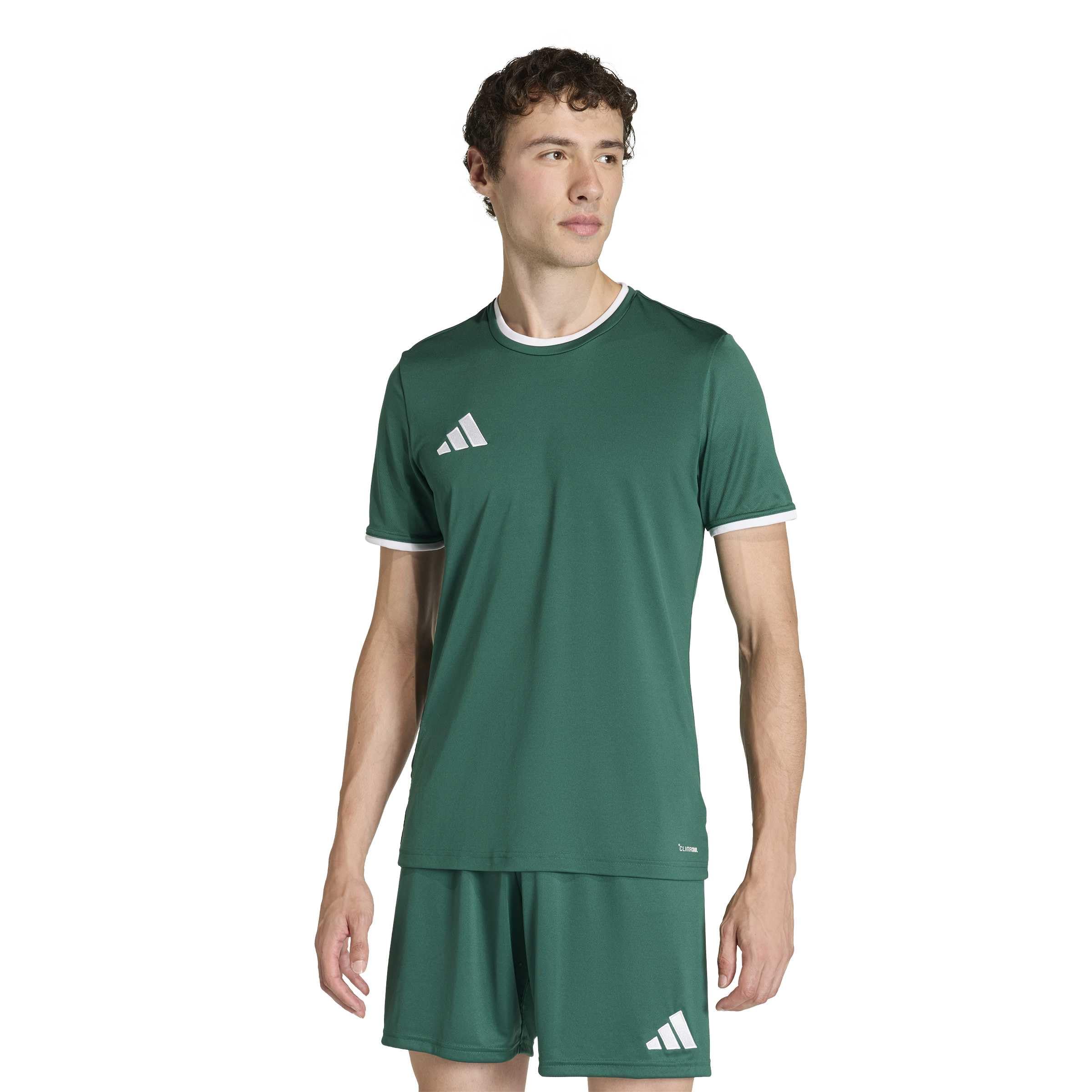 adidas Men's Entrada26 Jersey Shirt, Team Dark Green/White, S