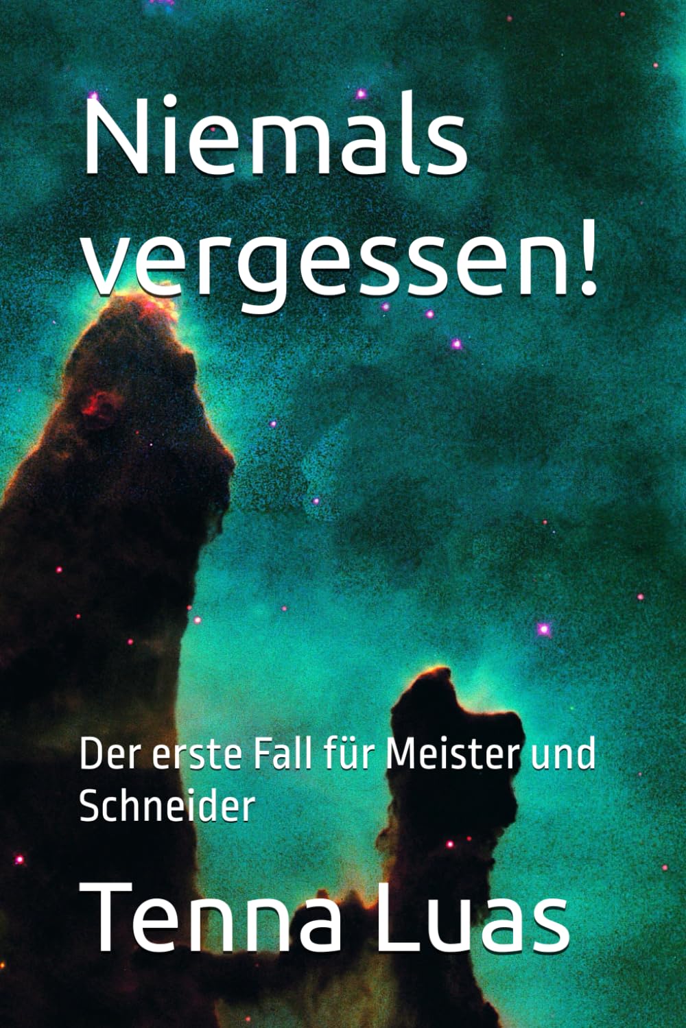 Niemals vergessen!: Der erste Fall für Meister und Schneider (Meister und Schneider -ein unschlagbares Ermittlerteam)