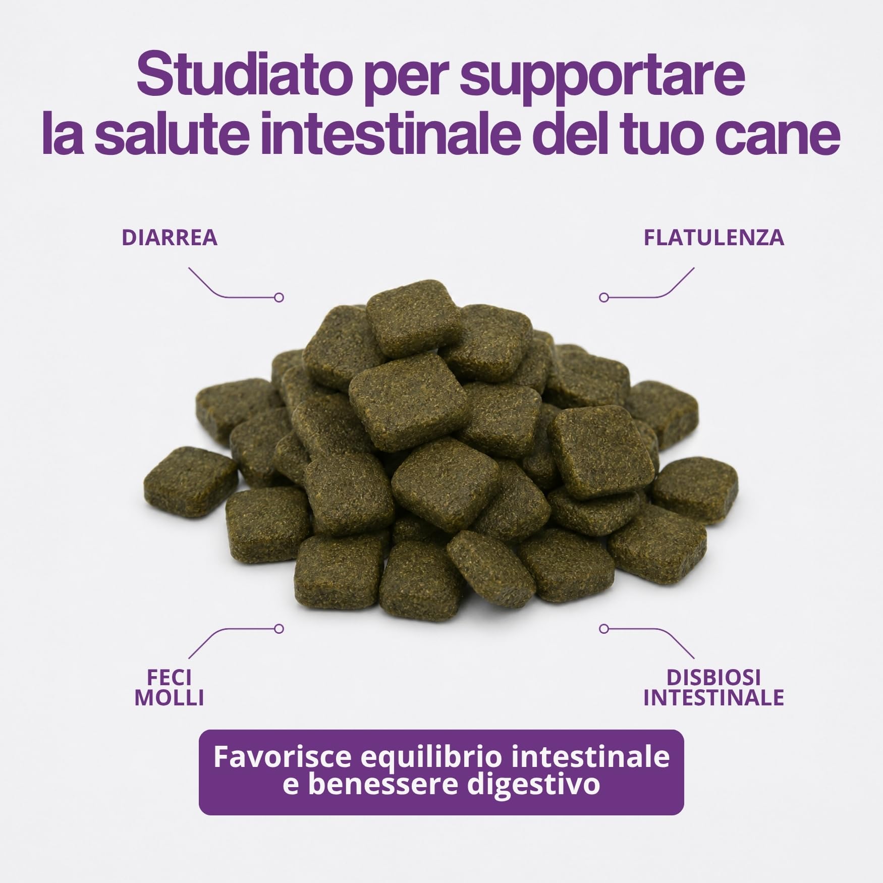 Probiotici Per Cani 60 Bocconcini 180g Prebiotici Cane 5 Miliardi CFU per Benessere Intestinale, Digestione, Diarrea Cane Probiotico Digestivo Cani Integratore Naturale Con Inulina, Zucca E Spirulina