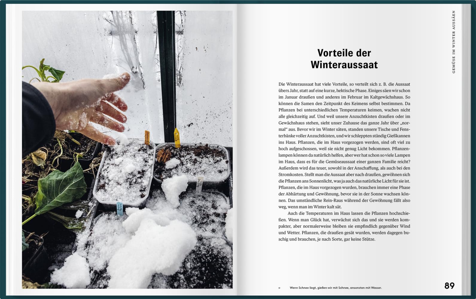 Mit Kaltanbau zu grünen Wundern: Für ganzjährige Erntefreude und robuste Pflanzen. Das ganze Jahr über aussäen, pflanzen und ernten: Gemüse, Stauden und Sommerblumen nachhaltig anbauen.