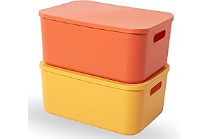 Cute Plastic Storage Bins with Lids