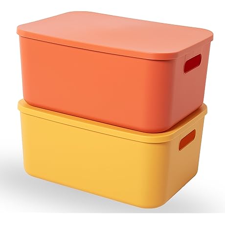 Cute Plastic Storage Bins with Lids